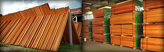 Yalbac Ranch - Lumber-Wholesale